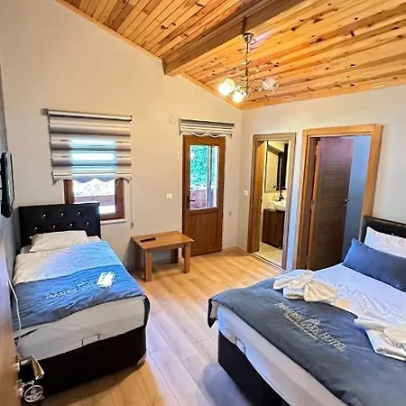 Hotel Paradise *