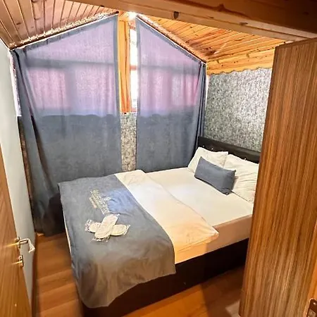 Hotel Paradise Uzungol