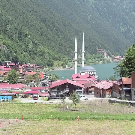 Hotel Paradise Uzungol