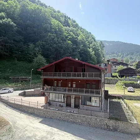 Paradise Hotel Uzungol